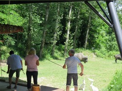 Transhumance Ariège 2022